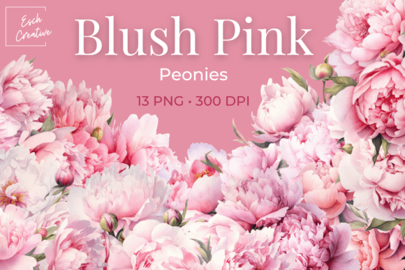 Elegant Blush Pink Peonies Watercolor Flowers for Design