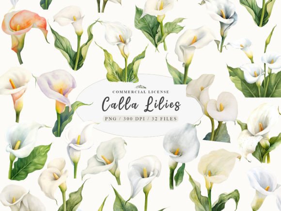 Elegant Calla Lily Prints & White Flower Clipart for Designers