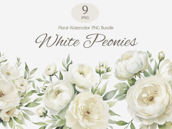 Elegant White Peonies Watercolor PNG Bundle for Designers