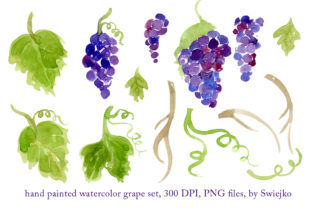 Elevate Designs with Hand Painted Watercolor Grapes