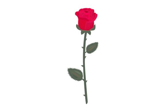 The Timeless Elegance of a Single Red Rose in Design